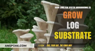 Growing Oyster Mushrooms on Logs: Optimal Timeframe for Fruiting