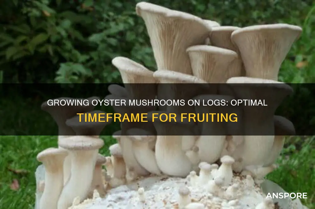 how long for oyster mushrooms to grow log substrate