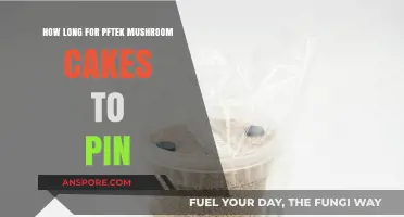 PF Tek Mushroom Cakes Pinning Time: Factors and Tips for Success