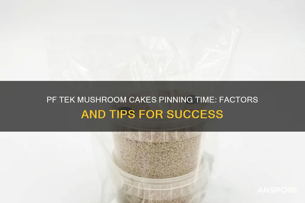 how long for pftek mushroom cakes to pin