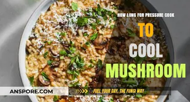 Cooling Mushrooms in a Pressure Cooker: Time and Tips