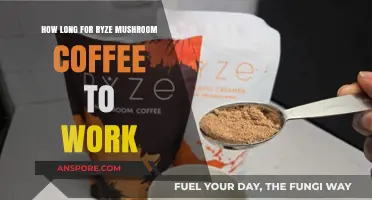 Ryze Mushroom Coffee Effects: Timing and Benefits Explained