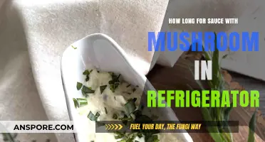 Storing Mushroom Sauce: Refrigerator Shelf Life and Freshness Tips