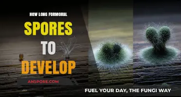 Understanding the Development Timeline of Formoral Spores: A Comprehensive Guide