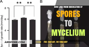 From Spores to Mycelium: Understanding the Inoculation Timeline