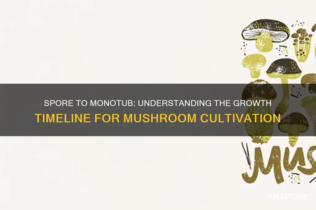 how long from spore to monotub