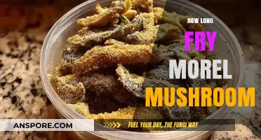 Perfectly Crispy Morel Mushrooms: Mastering Fry Times and Techniques