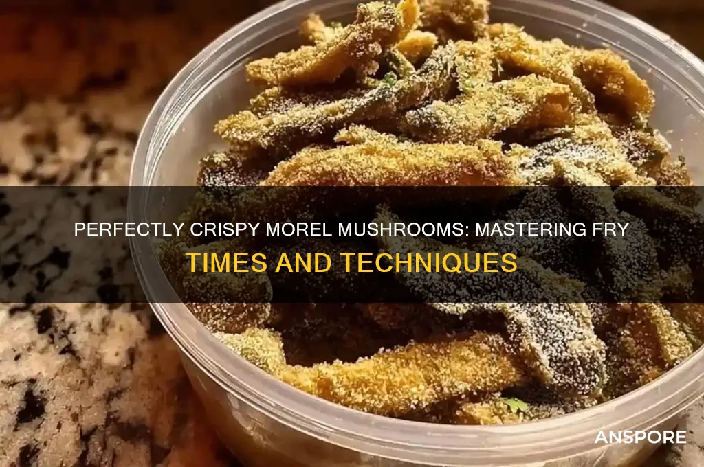 how long fry morel mushrooms