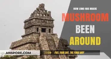 Exploring the Ancient History of Magic Mushrooms: A Timeless Journey