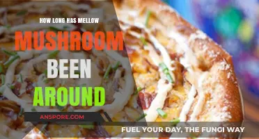 Mellow Mushroom's Journey: A Decades-Long Pizza Legacy Unveiled