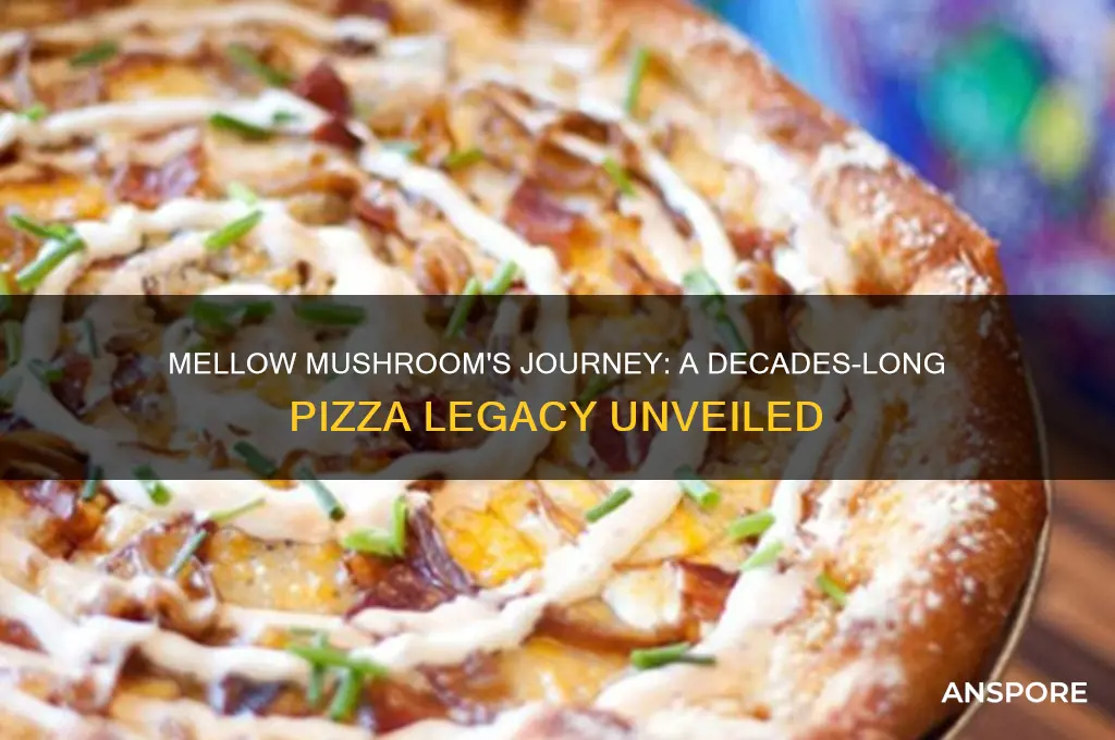 how long has mellow mushroom been around