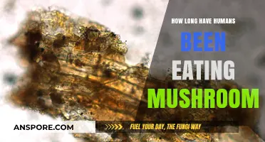 Exploring Humanity's Ancient Culinary Relationship with Mushrooms: A Historical Journey