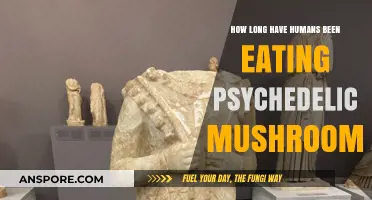 Exploring Humanity's Ancient Relationship with Psychedelic Mushrooms: A Historical Journey