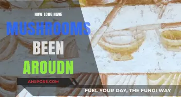 Unveiling the Ancient History of Mushrooms: A Timeless Journey