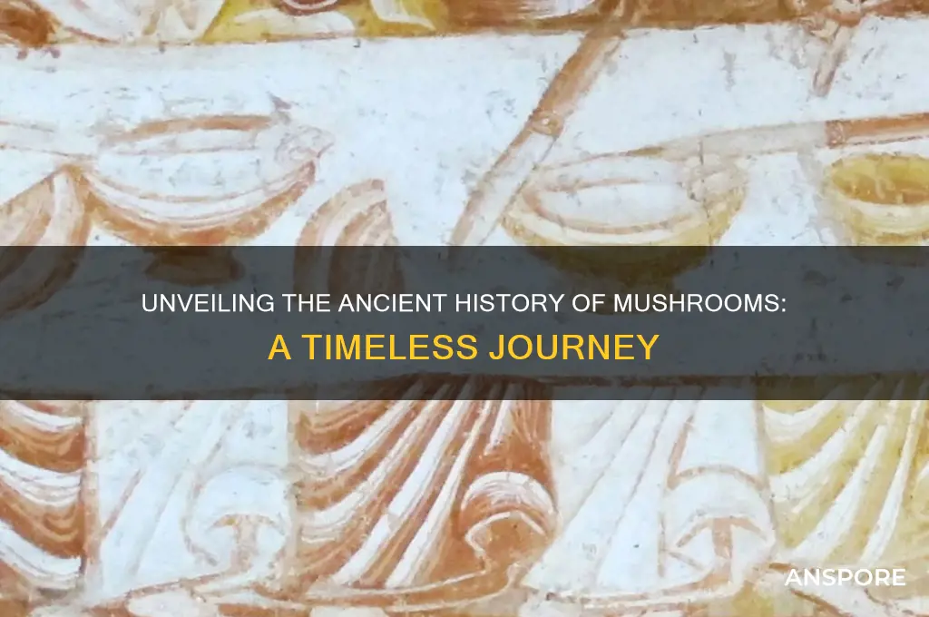 how long have mushrooms been aroudn