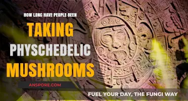 Exploring the Ancient History of Psychedelic Mushroom Use by Humans