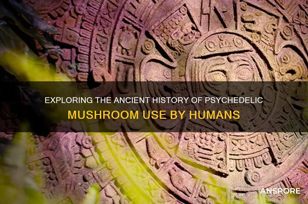 how long have people been taking physchedelic mushrooms