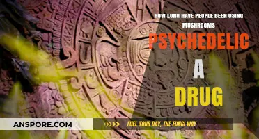 Exploring the Ancient History of Psychedelic Mushrooms as a Drug