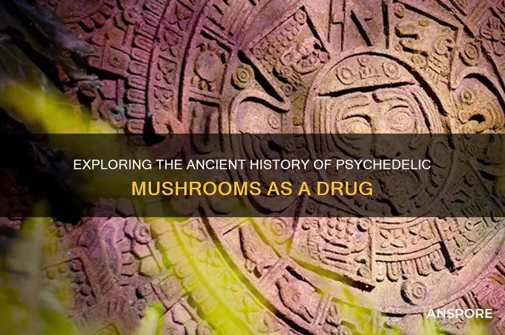 how long have people been using mushrooms psychedelic a drug