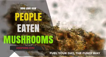 Exploring the Ancient History of Mushroom Consumption by Humans