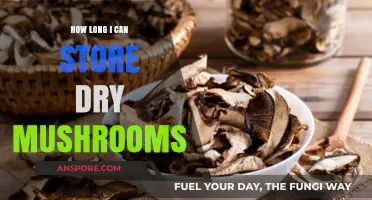Maximizing Shelf Life: Optimal Storage Tips for Dry Mushrooms