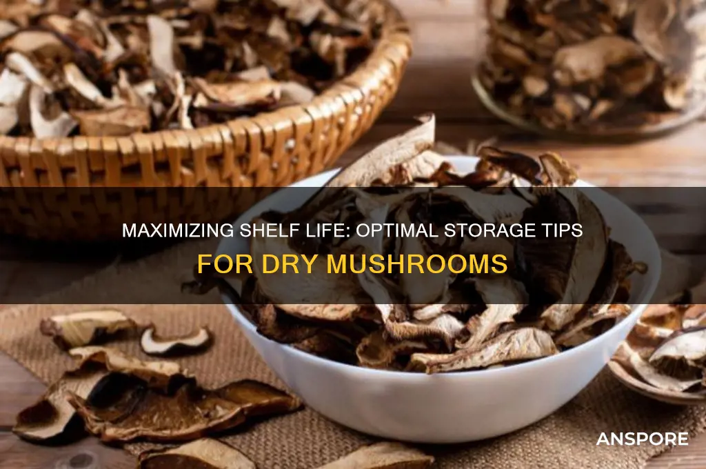 how long i can store dry mushrooms