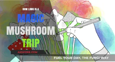 Exploring the Duration of a Magic Mushroom Trip: What to Expect