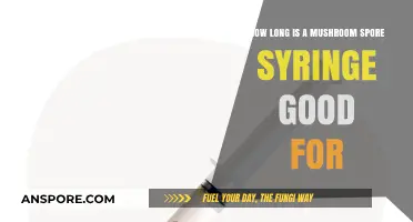 Shelf Life of Mushroom Spore Syringes: Storage Tips and Duration