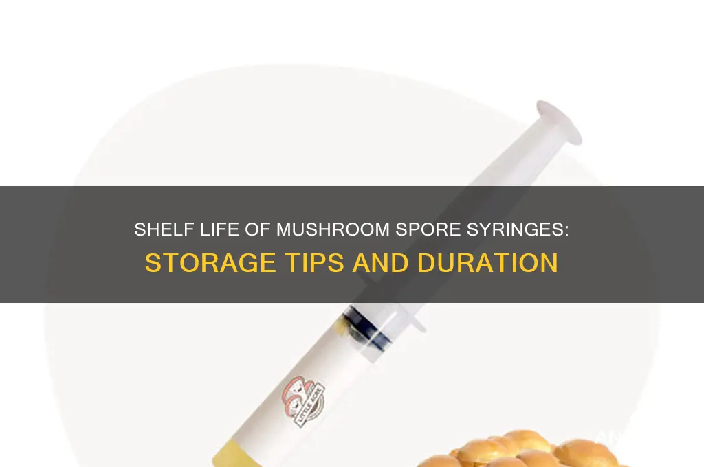 how long is a mushroom spore syringe good for