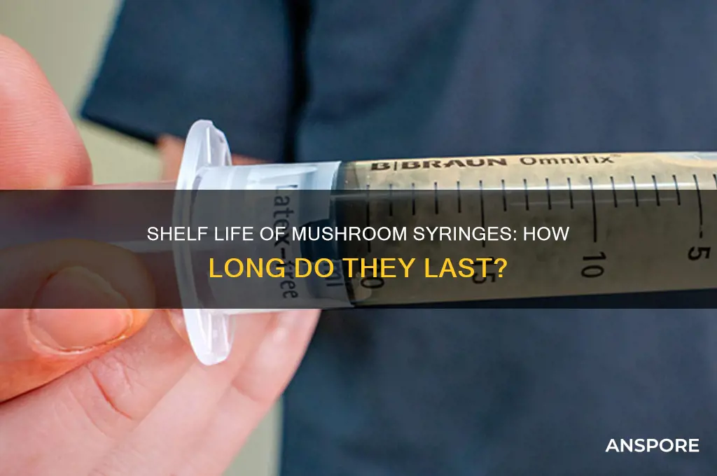 how long is a mushroom syringe good