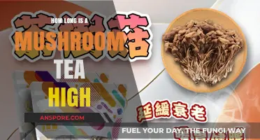 Exploring the Duration of a Mushroom Tea High: What to Expect