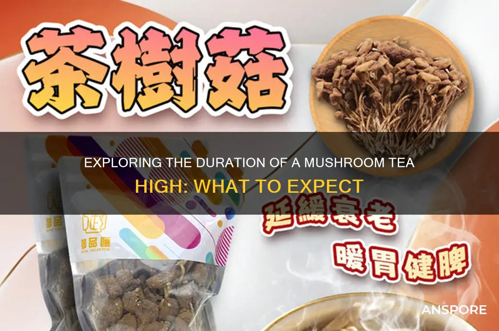 how long is a mushroom tea high