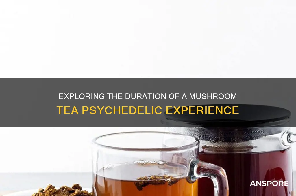 how long is a mushroom tea trip