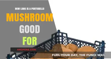 Portobello Mushroom Shelf Life: Freshness Tips and Storage Guide