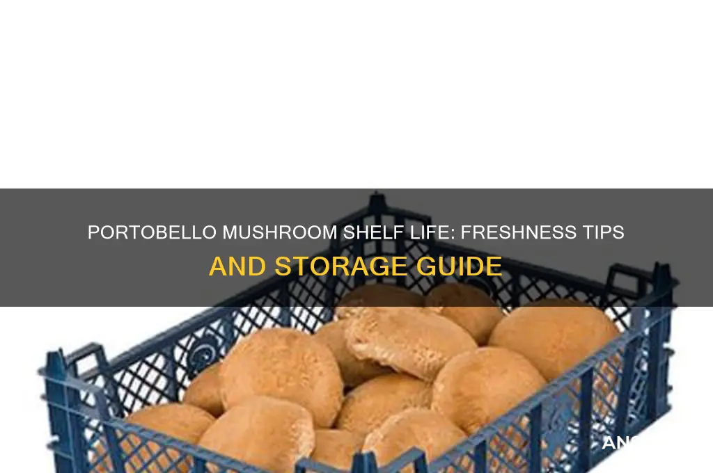 how long is a portobello mushroom good for