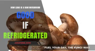Refrigerated Raw Mushrooms: How Long Do They Stay Fresh?