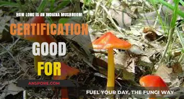 Indiana Mushroom Certification Validity: Duration and Renewal Requirements Explained