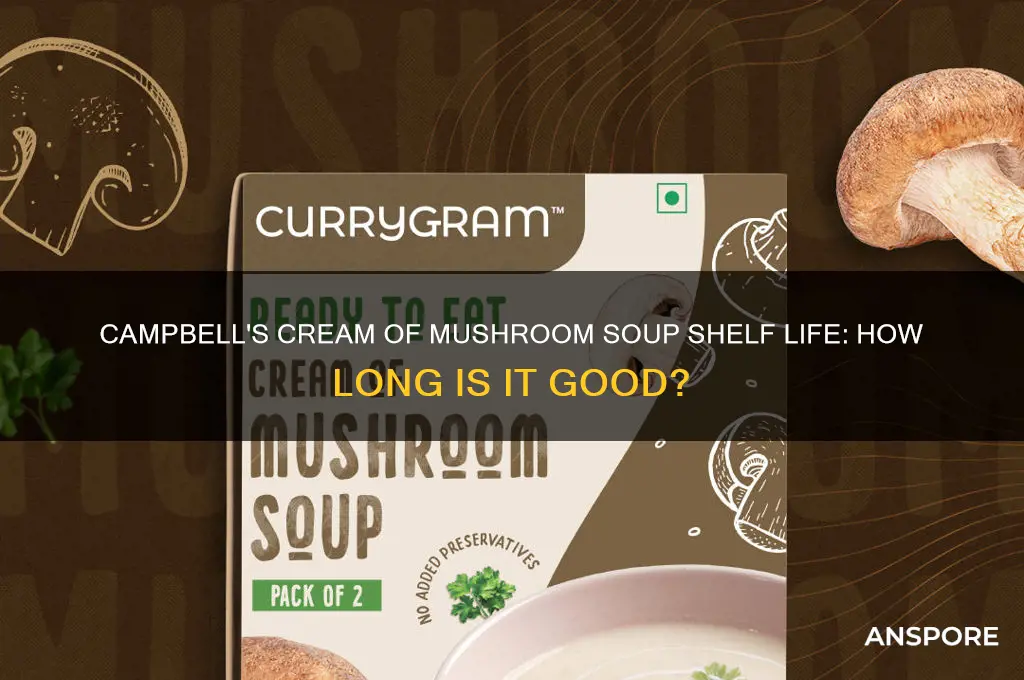 how long is campbell