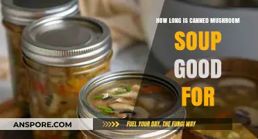 Canned Mushroom Soup Shelf Life: How Long Does It Last?