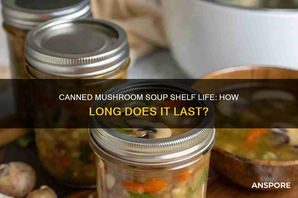 how long is canned mushroom soup good for