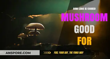 Cooked Mushrooms Shelf Life: How Long Do They Stay Fresh?