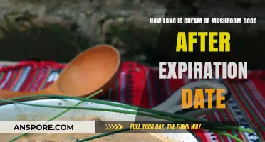 Cream of Mushroom Soup Shelf Life: Post-Expiration Safety Tips