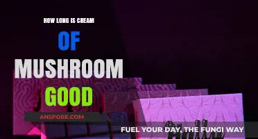 Cream of Mushroom Shelf Life: How Long Does It Last?