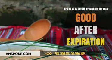 Cream of Mushroom Soup Shelf Life: Post-Expiration Safety Tips