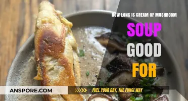 Cream of Mushroom Soup Shelf Life: How Long Does It Last?