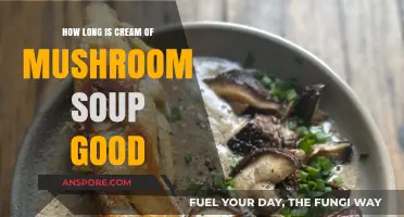 Cream of Mushroom Soup Shelf Life: How Long Does It Last?