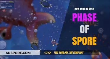 Exploring Spore's Evolution: Duration of Each Developmental Phase Revealed
