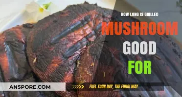 Grilled Mushrooms Shelf Life: How Long Do They Stay Fresh?