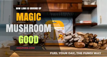 Ground Up Magic Mushrooms: Shelf Life and Potency Explained