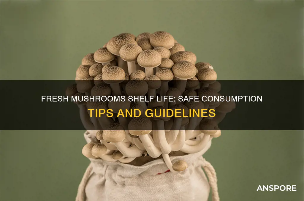 how long is it safe to eat fresh mushrooms